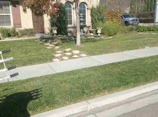 Luca C.'s Grass Cutting service result