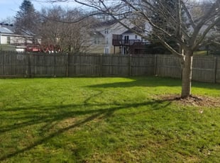 Cleanups by Miguel Santos for Ilse P. in Gaithersburg, MD