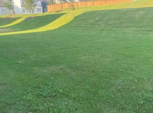 Justin J.'s Lawn Maintenance service result