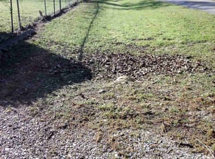 Leaf Removal by Amy Delarosa for Linda K. in Denison, TX