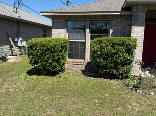 Bush Trimming by Travis Frederickson for Avery H. in Navarre, FL