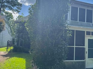 Kevin B.'s Bush Trimming service result