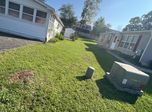 HYUNSOOK C.'s Lawn Mowing service result