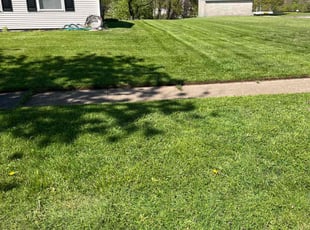 Carol C.'s Lawn Service service result
