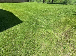 Finley M.'s Lawn Mowing service result