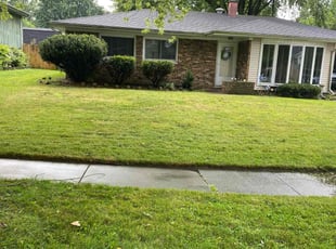 Donitta E.'s Lawn Mowing Service service result