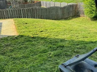 Jean C.'s Lawn Care service result