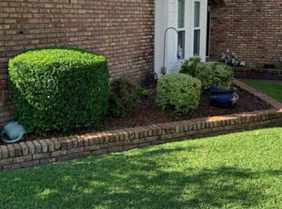 Lynell B.'s Lawn Maintenance service result