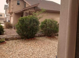 Bush Trimming by Kevin George for Bridget S. in El Paso, TX