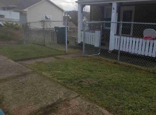 Tammy O.'s Lawn Mowing service result