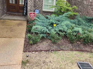 Weeding by James Crunk for Robert I. in Arlington, TN