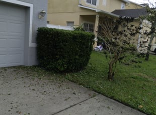 Bush Trimming by Derek Washington for Victor M. in Pinellas Park, FL