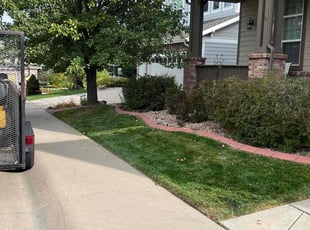 Sandra S.'s Yard Cutting service result