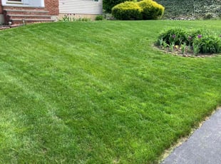 Paul D.'s Lawn Mowing service result