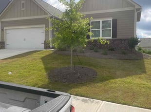 Rose R.'s Lawn Mowing Service service result