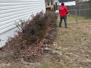 Bush Trimming by candelario castillo for Marc S. in Springfield, VA