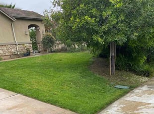 Joanna G.'s Grass Cutting service result