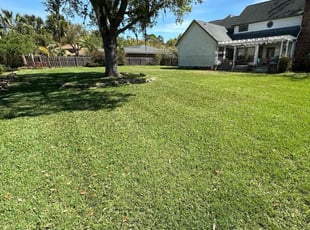 Kasie M.'s Lawn Service service result