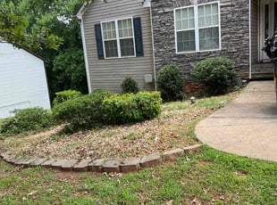 Bush Trimming by Mark King for Karyne G. in Dacula, GA
