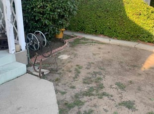 Bush Trimming by William Mendoza for Carol M. in Los Angeles, CA