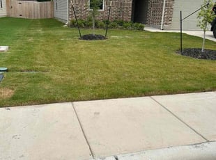Dean H.'s Lawn Mowing Service service result