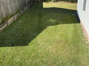 Emily M.'s Grass Cutting service result