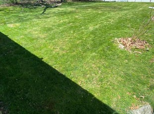 Michael O.'s Lawn Mowing service result