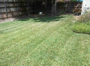 erin W.'s Lawn Mowing service result