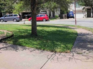 Flora F.'s Lawn Maintenance service result