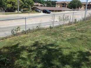 Bush Trimming by Tim Birch for Christina A. in Omaha, NE