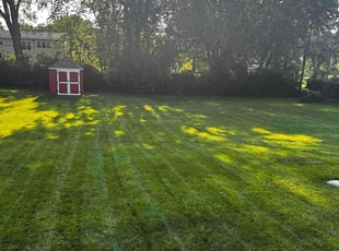 Rick R.'s Lawn Mowing service result