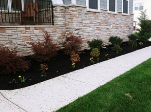 Cleanups by Chris Thomas for Mir A. in Chester, VA