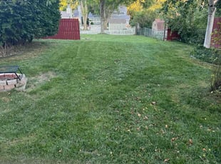 Gabriel T.'s Lawn Care service result