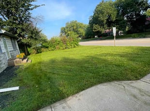 Pam M.'s Lawn Care service result