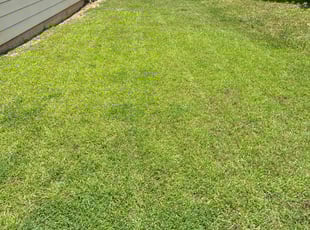 Dora M.'s Lawn Service service result