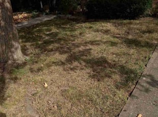 Cleanups by Elisha Nelson for John P. in Powell, OH