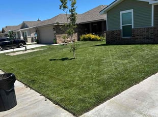 Charlotte B.'s Lawn Service service result