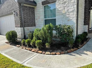 Bush Trimming by Danny Blanco for Chiaz U. in Cypress, TX