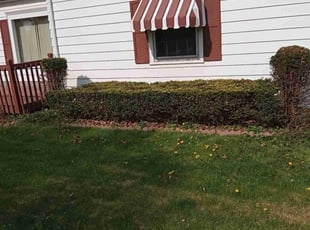 Bush Trimming by Marquis Kirksey for Christine F. in Milwaukee, WI
