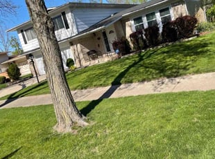 Jacob B.'s Lawn Service service result
