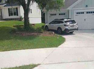 Mitsuyo L.'s Lawn Mowing service result