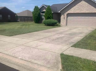David s.'s Lawn Maintenance service result