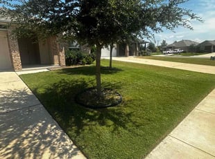 Tyler N.'s Grass Cutting service result