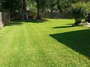 JA M.'s Lawn Mowing service result