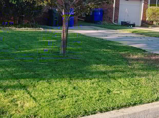 Bush Trimming by Timothy Steward for Shiloh F. in Norman, OK