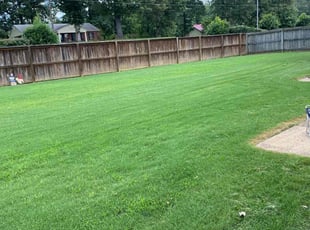 Jim S.'s Lawn Mowing service result
