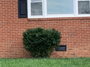 Bush Trimming by Andre Hunt for Matthew W. in Richmond, VA