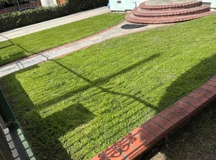 John P.'s Lawn Care service result