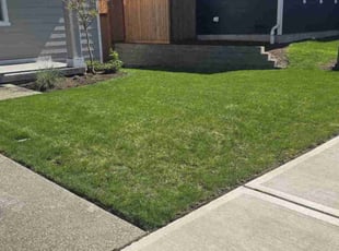 Adonis k.'s Lawn Maintenance service result