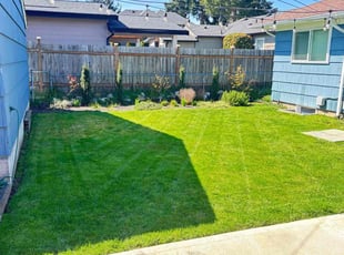 Daniel M.'s Lawn Mowing Service service result